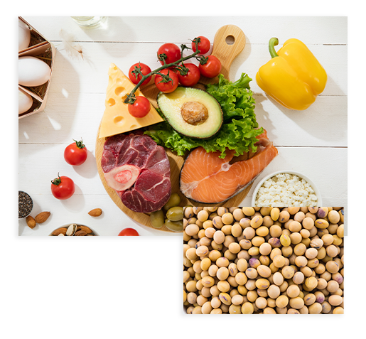 Alimentos Vegetais ricos em Proteína