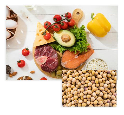 Alimentos Vegetais ricos em Proteína